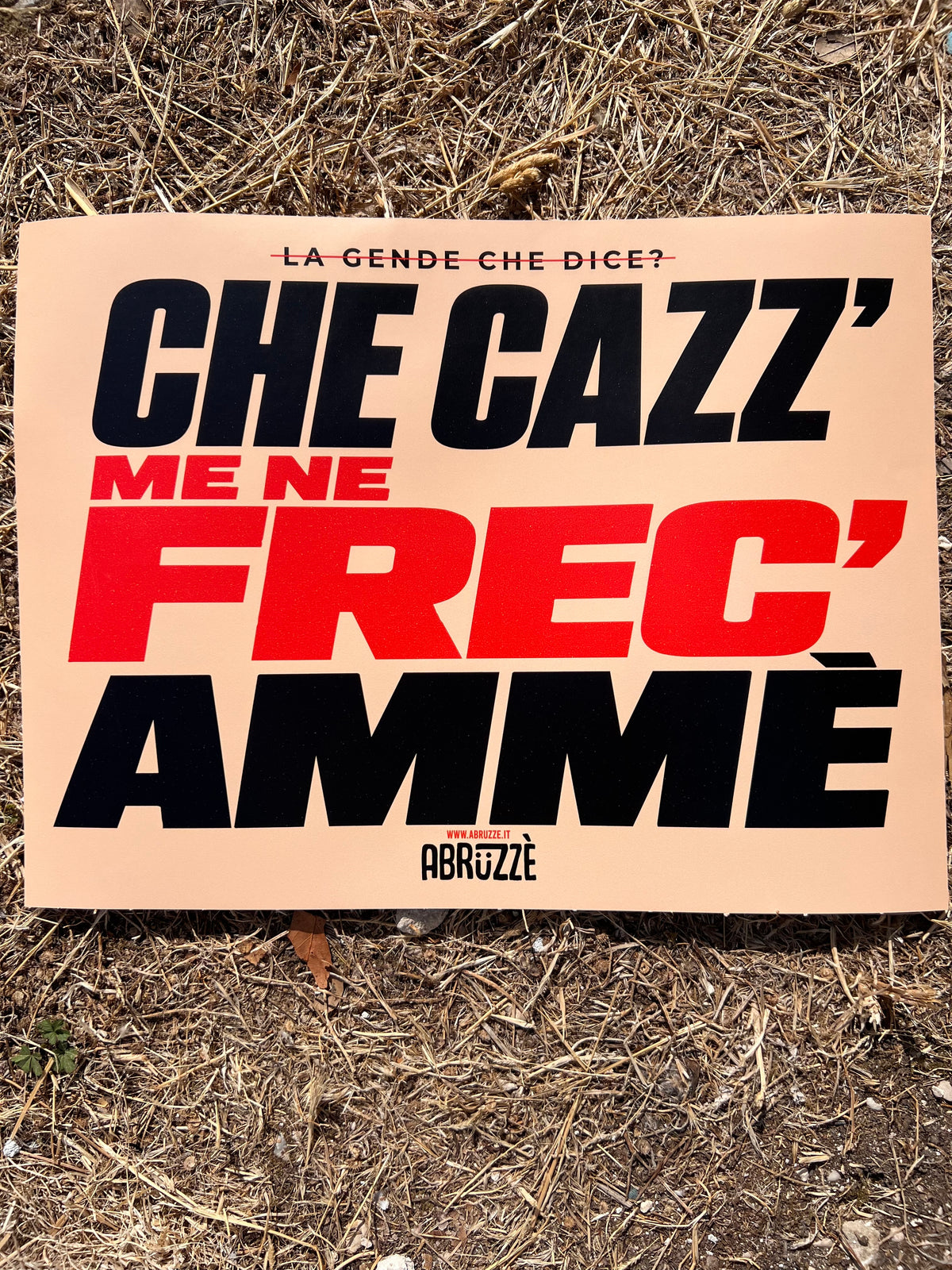 Poster “Che cazz’ me ne frec’ ammè”