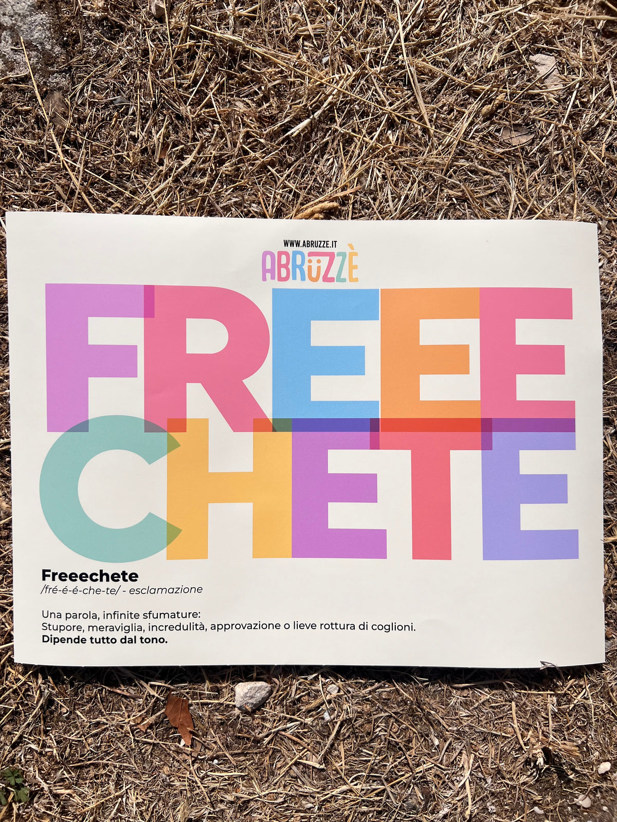 Poster “Freeechete”