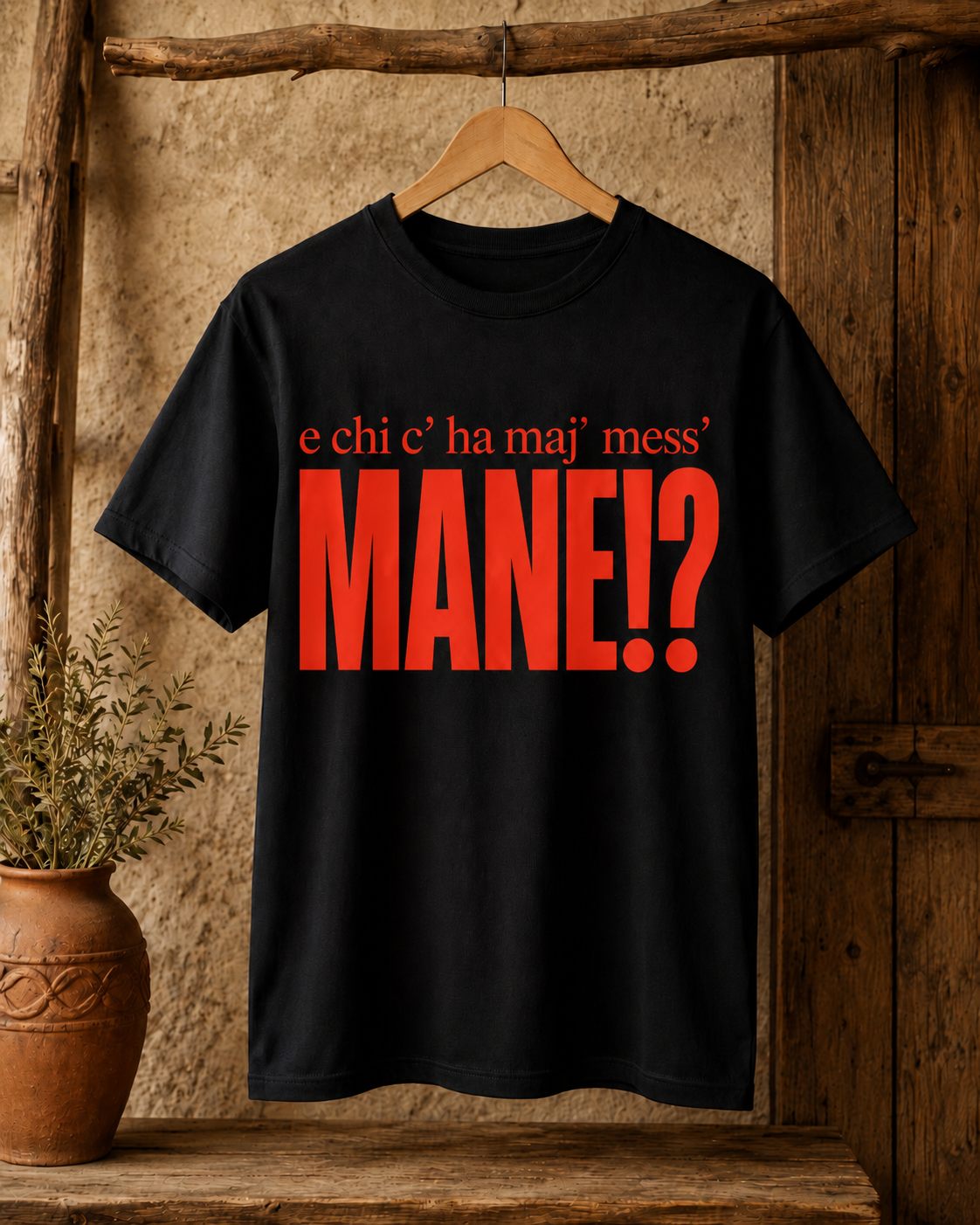 T-shirt “E chi c’ ha maj’ mess’ mane!?”